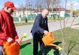 Лукашенко в Брагине заложил аллею, собрал совещание и поучаствовал в митинге-реквиеме