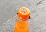 Две пчелы смогли открутить крышку бутылки с газировкой (видео)