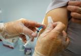 Минздрав предложил совместить вакцинацию от гриппа и коронавируса