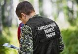 Тигр откусил годовалому ребенку палец в парке «Тайган» в Крыму