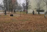 Коммунальщики косили опавшие листья в Борисове