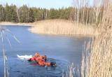 В Бресте брошенных в озеро щенков спасли сотрудники МЧС