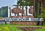 Лукашенко поручил увеличить число туристических услуг в Беловежской пуще