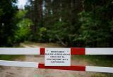 В 55 районах Беларуси ввели ограничения на посещение лесов