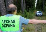 Ограничения на посещение лесов ввели почти по всей Беларуси