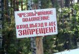 Посещение лесов запретили в 47 районах Беларуси
