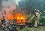 В Казахстане объявлен траур после гибели в пожарах 14 лесников