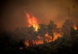 С греческого острова Родос эвакуируют 30 тысяч человек из-за пожара