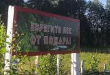По всей Беларуси ввели ограничения и запреты на посещение лесов