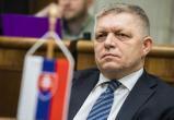 Словакия не будет поставлять оружие Украине – новый премьер Фицо