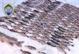 Белорусы наловили рыбы почти на 16 тысяч рублей