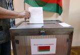 Досрочное голосование пройдет в Беларуси с 20 по 24 февраля