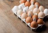 Россия импортировала 54 миллиона белорусских яиц в январе