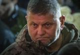 «Это неправда»: Минобороны Украины прокомментировало увольнение Залужного