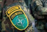 Британия предложила отправить в Украину экспедиционный корпус НАТО