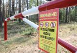 В Беларуси ввели первые ограничения на посещение лесов