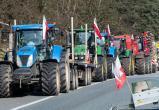 Польские фермеры протестуют: блокируют движение, везут навоз к дому политиков
