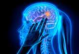 Маск объявил о создании мозгового импланта, возвращающего людям зрение