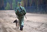 Белорусы, завербованные спецслужбами Украины, прятали взрывчатку для терактов