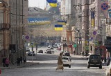 Будет ли эвакуация в Харькове, рассказал мэр