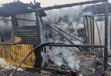 Четверо детей погибли в огне в Березовском районе