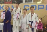 8 медалей завоевали учащиеся Брестской СДЮШОР БФСО «Динамо» на открытом первенстве СДЮШОР по дзюдо