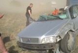 Ветреные выходные в Беларуси: песчаная буря под Брестом и 996 населенных пунктов без света