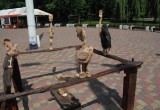 Мир, как «Птичий двор». Выставка-перфоманс Александра Лазерко прошла в Брестском городском парке культуры и отдыха