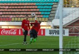 6 июня в Бресте пройдет товарищеский футбольный матч между сборными Беларуси и Венгрии