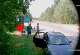 Нарушители попали в видеоловушку в Барановичском районе
