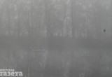 Фоторепортаж. Пятничный туман превратил Брест в площадку для съемок мистического кино