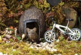 Мужчина построил в своем саду городок для мышей
