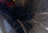 Мужчину спасли из-под обрушившегося в траншею грунта в Барановичах
