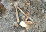 Костные останки обнаружил брестчанин во время выгула собаки (фото)