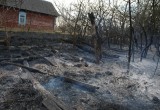 Масштабный пожар в Ганцевичском районе (фото)