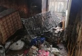 Женщина умерла на пожаре в Бресте