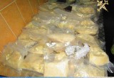 Более 100 кг экстази изъяли у россиянки в Бресте (видео)