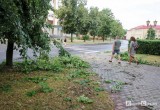 Погода устроила серьезный переполох в Кобрине (видео)