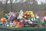 С кладбищ Беларуси выбрасывают около миллиона искусственных цветов ежегодно
