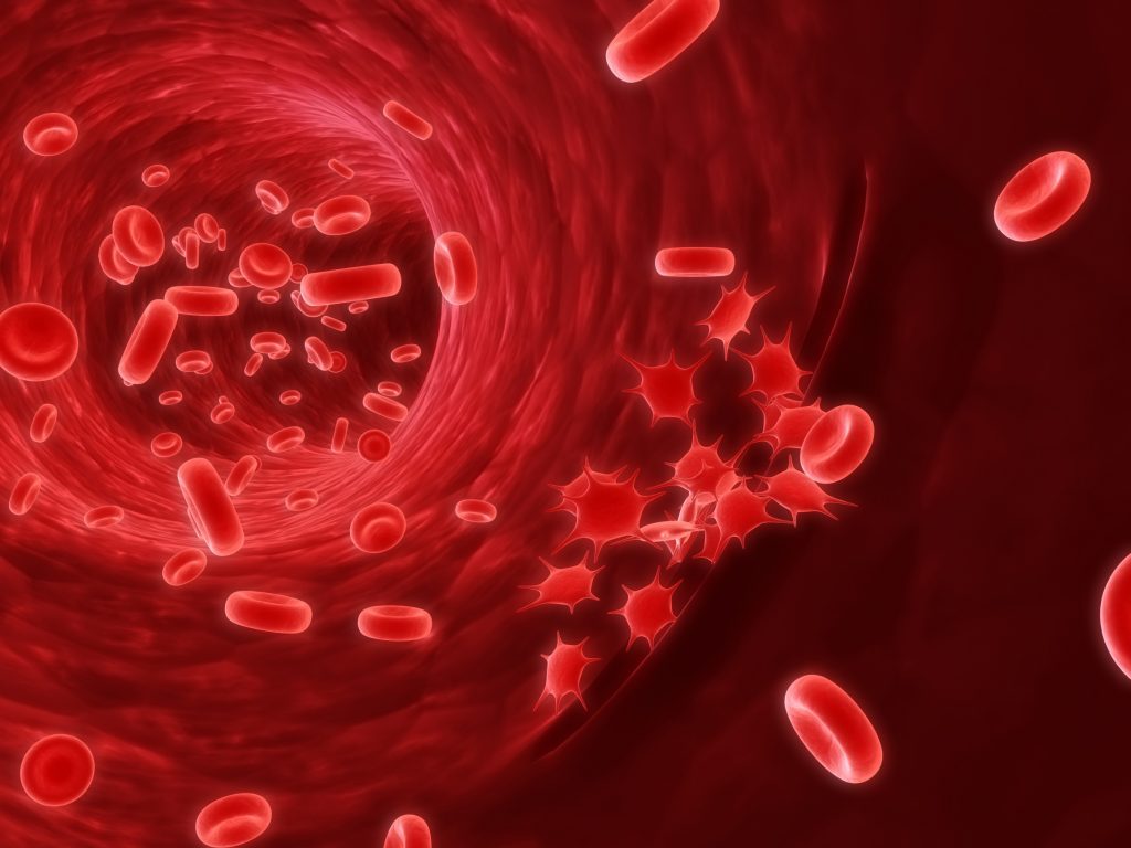 Гемоглобин: как распознать нехватку и самостоятельно повысить?