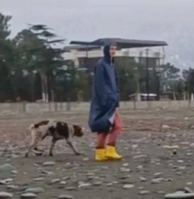 В Грузии нашли мертвой белоруску, которую смыло волной вместе с собакой