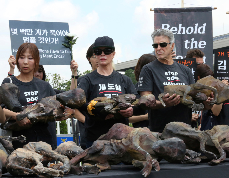 Фермеры протестуют против запрета на собачатину в Южной Корее