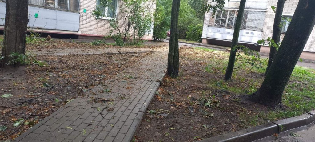 Коммунальщики расчищают Минск от последствий непогоды