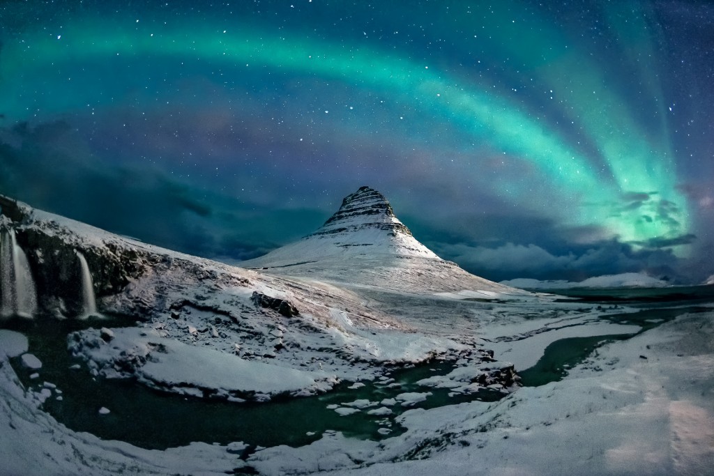20 лучших фото природы по версии Nature Photographer Of The Year 2019 NaturePhotographerOfTheYear2019