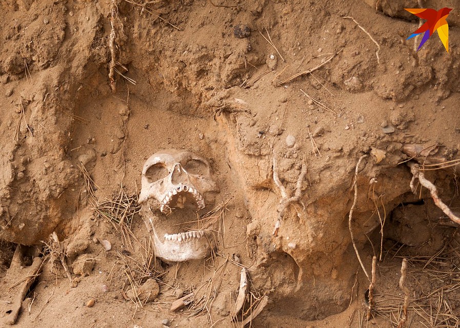 Чёрный февраль: огромный могильник, убийство в Столбцах и мёртвые собаки в Каменецком районе
