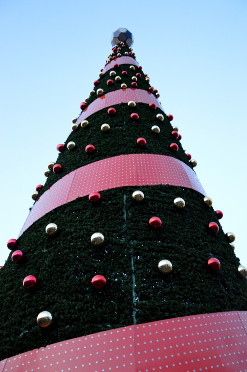 Вместо футбольного мяча – бриллиант. В Бресте зажгли главную новогоднюю елку (фоторепортаж) 