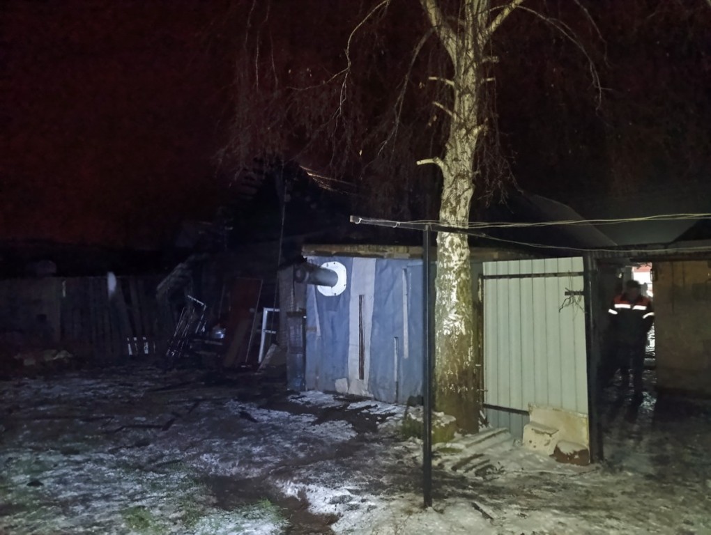 Собаки спасли хозяев от гибели на пожаре в Быховском районе