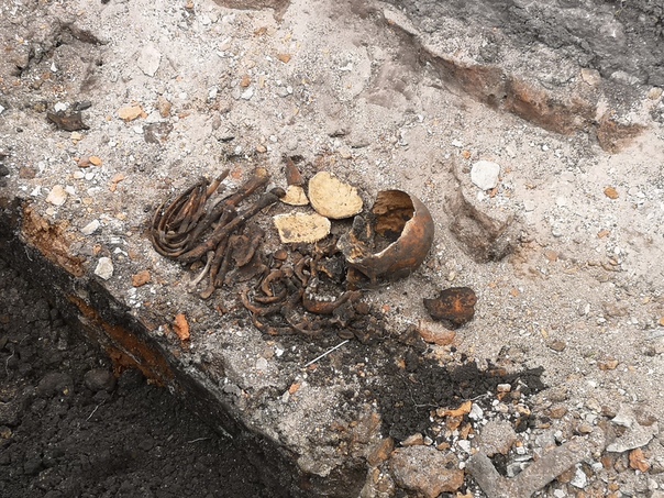 Костные останки нашли в Брестской крепости