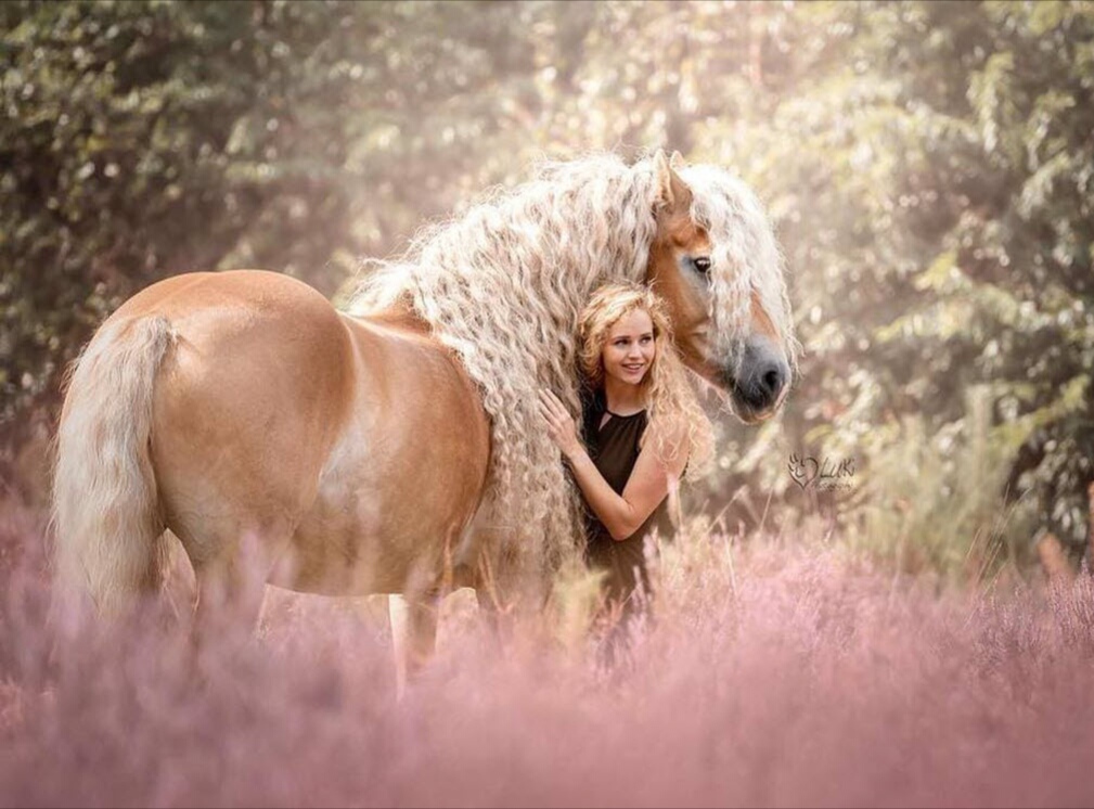 Лошадь, похожая на диснеевскую принцессу