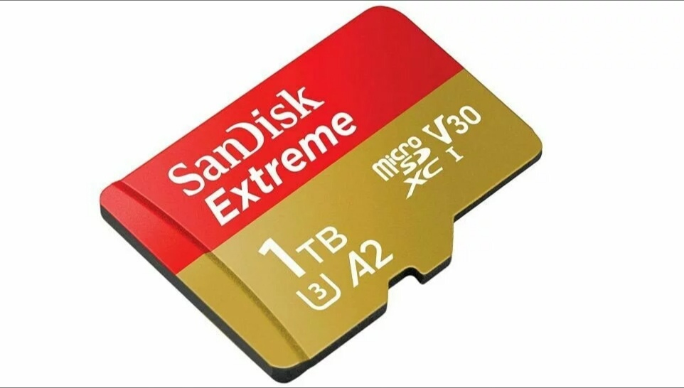 MicroSD1Sandisk